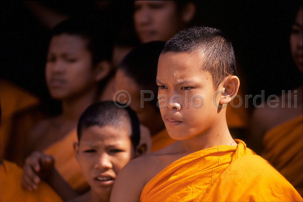 Young Buddhist monks, Chiang Mai, Thailand
 (cod:Thailand 31)